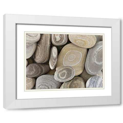 Washington, Seabeck Close-up of beach stones White Modern Wood Framed Art Print with Double Matting by Paulson, Don