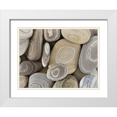 Washington, Seabeck Close-up of beach stones White Modern Wood Framed Art Print with Double Matting by Paulson, Don
