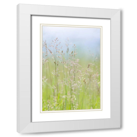 USA, Washington, Seabeck Grasses in motion White Modern Wood Framed Art Print with Double Matting by Paulson, Don
