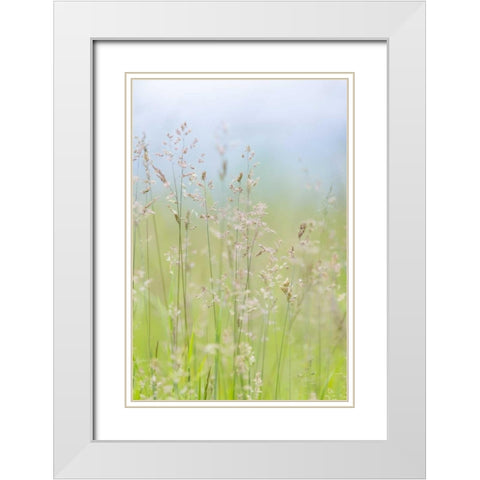 USA, Washington, Seabeck Grasses in motion White Modern Wood Framed Art Print with Double Matting by Paulson, Don
