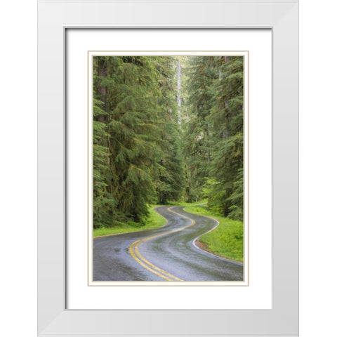 WA, Olympic NP Sol Duc River Road through forest White Modern Wood Framed Art Print with Double Matting by Paulson, Don