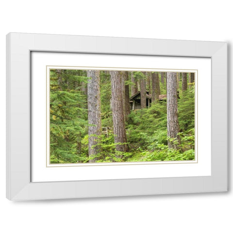 USA, Washington, Olympic NP Forest cabin shelter White Modern Wood Framed Art Print with Double Matting by Paulson, Don
