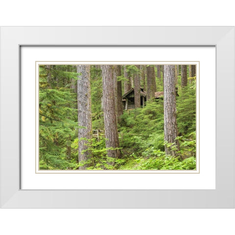 USA, Washington, Olympic NP Forest cabin shelter White Modern Wood Framed Art Print with Double Matting by Paulson, Don