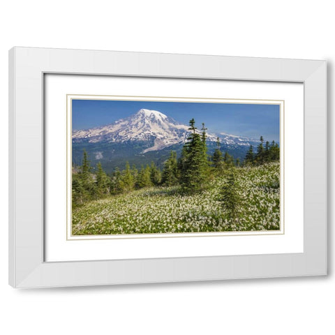Washington Avalanche lilies and Mount Rainier White Modern Wood Framed Art Print with Double Matting by Paulson, Don
