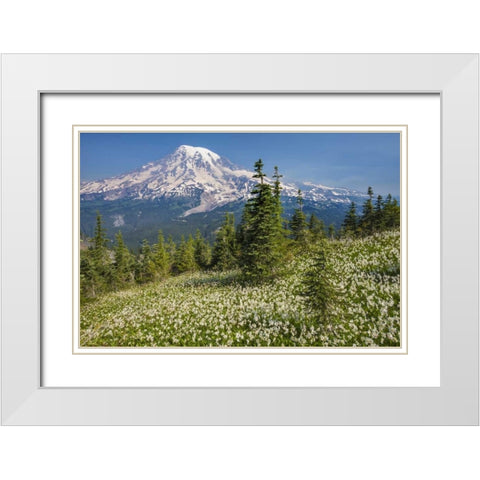 Washington Avalanche lilies and Mount Rainier White Modern Wood Framed Art Print with Double Matting by Paulson, Don