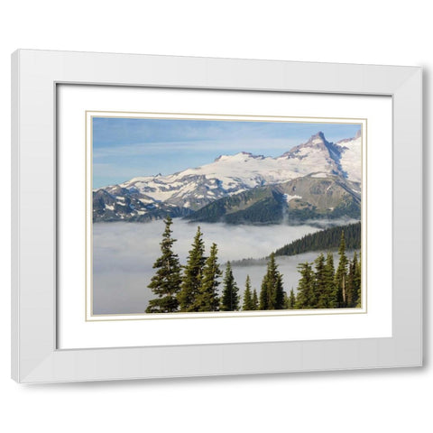 WA, Mt Rainier NP Landscape from Sunrise Point White Modern Wood Framed Art Print with Double Matting by Paulson, Don