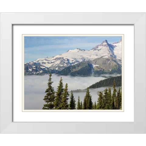WA, Mt Rainier NP Landscape from Sunrise Point White Modern Wood Framed Art Print with Double Matting by Paulson, Don