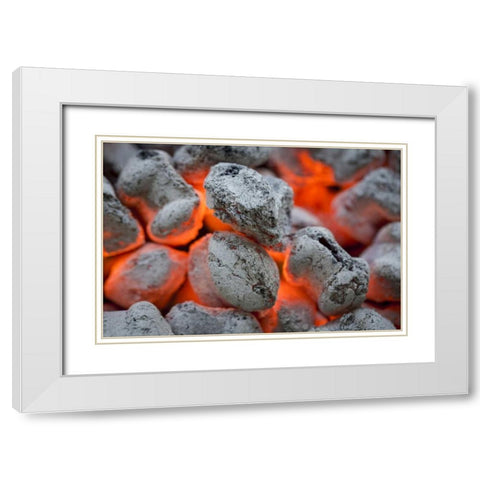 Washington, Seabeck Close-up of hot charcoal White Modern Wood Framed Art Print with Double Matting by Paulson, Don