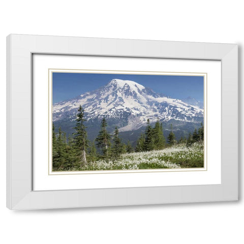 Washington Avalanche lilies and Mount Rainier White Modern Wood Framed Art Print with Double Matting by Paulson, Don