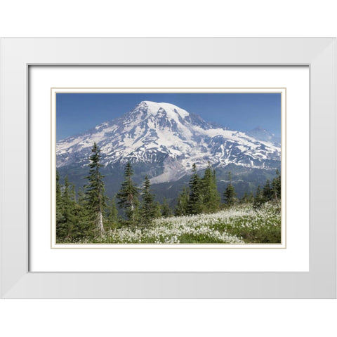 Washington Avalanche lilies and Mount Rainier White Modern Wood Framed Art Print with Double Matting by Paulson, Don