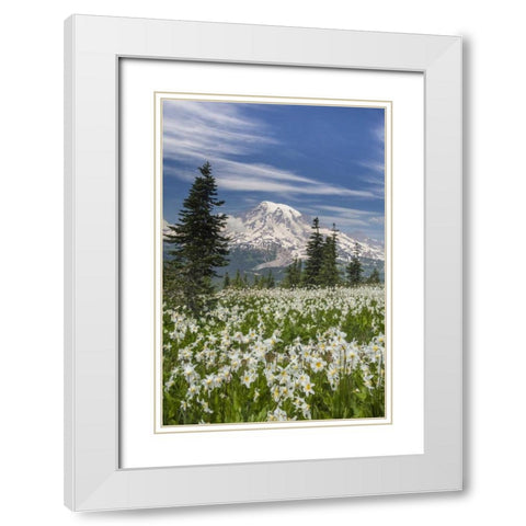 Washington Avalanche lilies and Mount Rainier White Modern Wood Framed Art Print with Double Matting by Paulson, Don