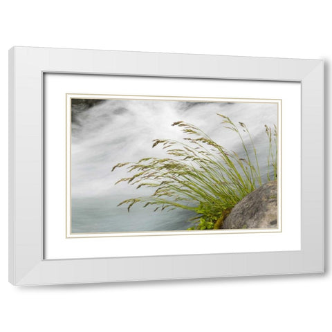 WA, Mount Rainier NP Grass and rushing water White Modern Wood Framed Art Print with Double Matting by Paulson, Don