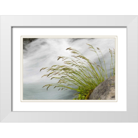 WA, Mount Rainier NP Grass and rushing water White Modern Wood Framed Art Print with Double Matting by Paulson, Don