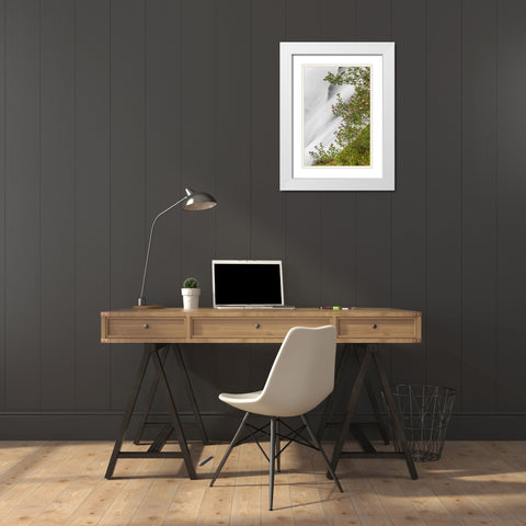 WA, Mount Rainier NP Waterfall in Paradise Creek White Modern Wood Framed Art Print with Double Matting by Paulson, Don