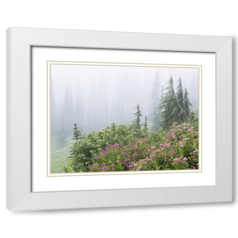 WA, Mount Rainier NP flowers in misty forest White Modern Wood Framed Art Print with Double Matting by Paulson, Don