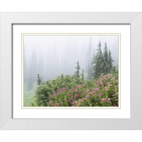 WA, Mount Rainier NP flowers in misty forest White Modern Wood Framed Art Print with Double Matting by Paulson, Don