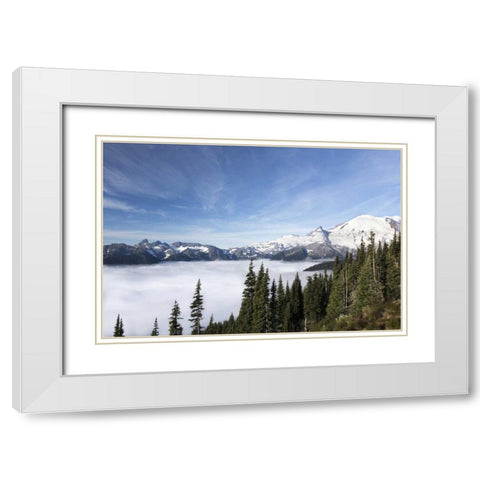 Washington, Mount Rainier NP Sunrise Point White Modern Wood Framed Art Print with Double Matting by Paulson, Don