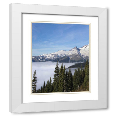 Washington, Mount Rainier NP Sunrise Point White Modern Wood Framed Art Print with Double Matting by Paulson, Don