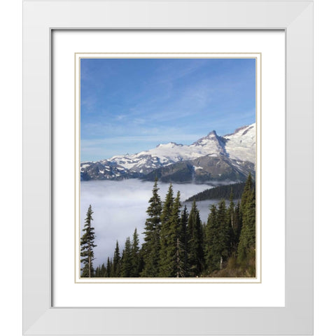 Washington, Mount Rainier NP Sunrise Point White Modern Wood Framed Art Print with Double Matting by Paulson, Don