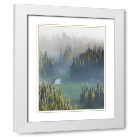 WA, Mount Rainier NP Overview of Surprise Lake White Modern Wood Framed Art Print with Double Matting by Paulson, Don