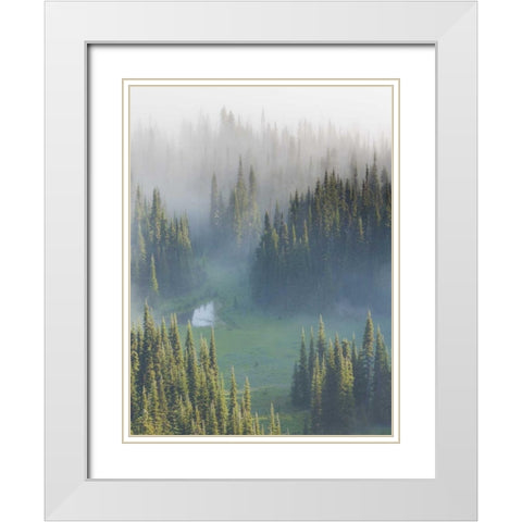 WA, Mount Rainier NP Overview of Surprise Lake White Modern Wood Framed Art Print with Double Matting by Paulson, Don