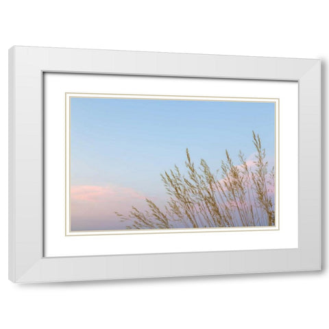 Washington, Seabeck Grasses at sunset White Modern Wood Framed Art Print with Double Matting by Paulson, Don