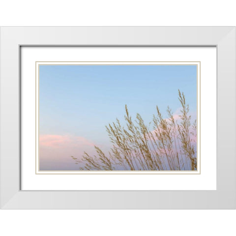 Washington, Seabeck Grasses at sunset White Modern Wood Framed Art Print with Double Matting by Paulson, Don