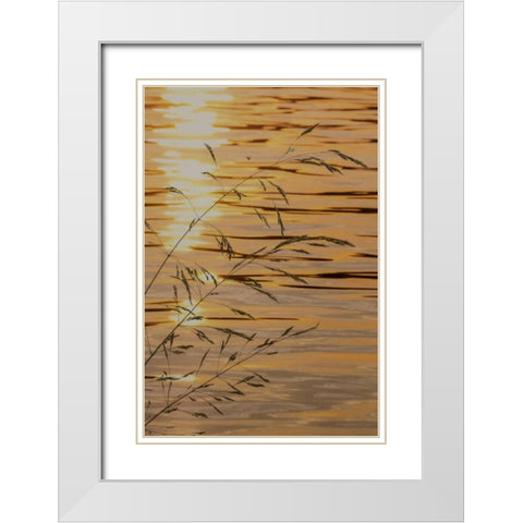 Washington Sunset on water and grasses White Modern Wood Framed Art Print with Double Matting by Paulson, Don