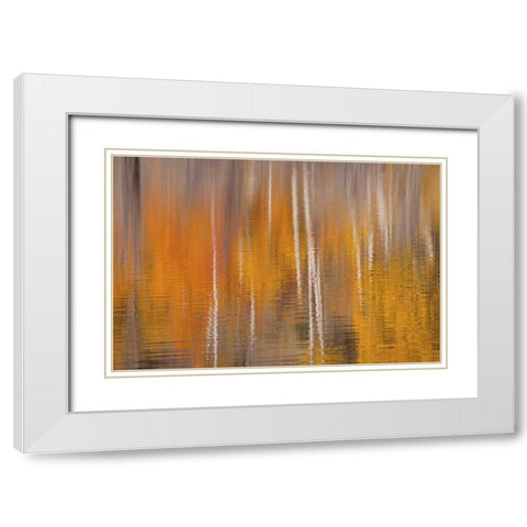 WA, Winthrop Autumn reflections on Beaver Pond White Modern Wood Framed Art Print with Double Matting by Paulson, Don