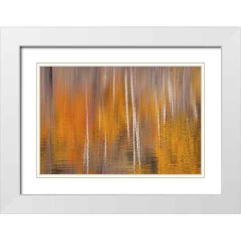WA, Winthrop Autumn reflections on Beaver Pond White Modern Wood Framed Art Print with Double Matting by Paulson, Don