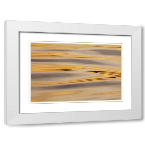 Alaska, Cross Sound Sunset reflections on water White Modern Wood Framed Art Print with Double Matting by Paulson, Don