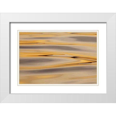 Alaska, Cross Sound Sunset reflections on water White Modern Wood Framed Art Print with Double Matting by Paulson, Don