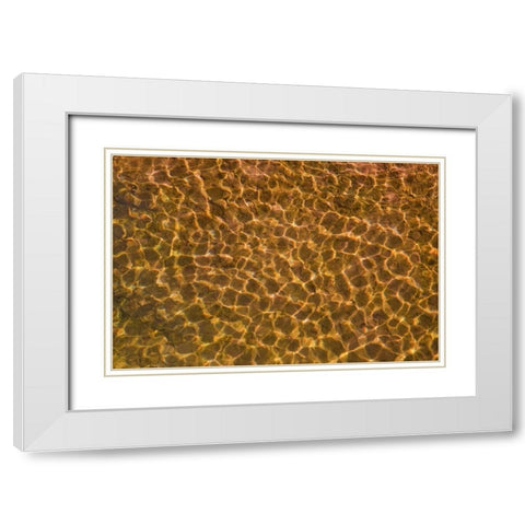 UT, Glen Canyon Sunlight in shallow water White Modern Wood Framed Art Print with Double Matting by Paulson, Don