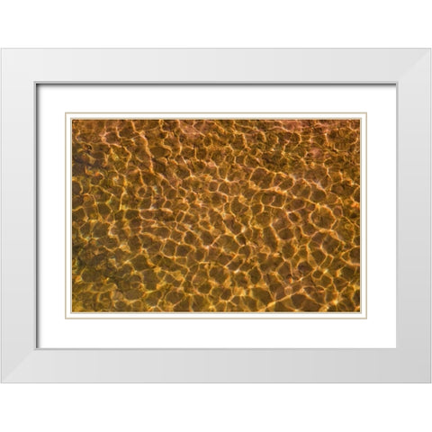 UT, Glen Canyon Sunlight in shallow water White Modern Wood Framed Art Print with Double Matting by Paulson, Don