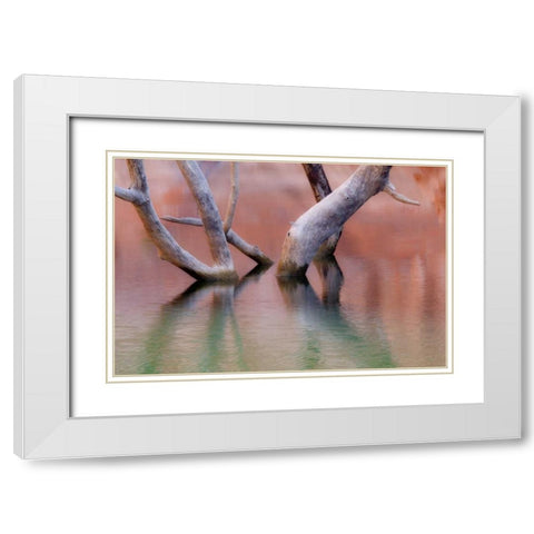 Utah, Glen Canyon Dead cottonwood trunks in lake White Modern Wood Framed Art Print with Double Matting by Paulson, Don