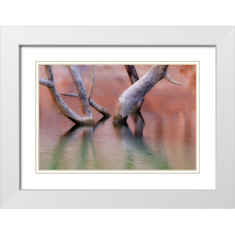 Utah, Glen Canyon Dead cottonwood trunks in lake White Modern Wood Framed Art Print with Double Matting by Paulson, Don