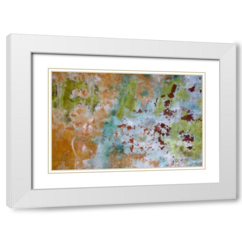 Washington, Fort Hayden Abstract painted wall White Modern Wood Framed Art Print with Double Matting by Paulson, Don