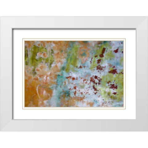 Washington, Fort Hayden Abstract painted wall White Modern Wood Framed Art Print with Double Matting by Paulson, Don