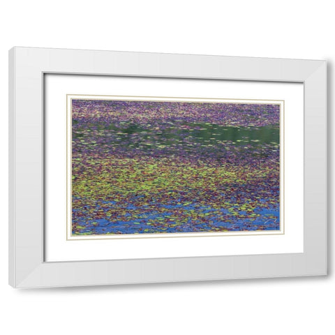 OR, Tahkenitch Lake Abstract of duck weed White Modern Wood Framed Art Print with Double Matting by Paulson, Don