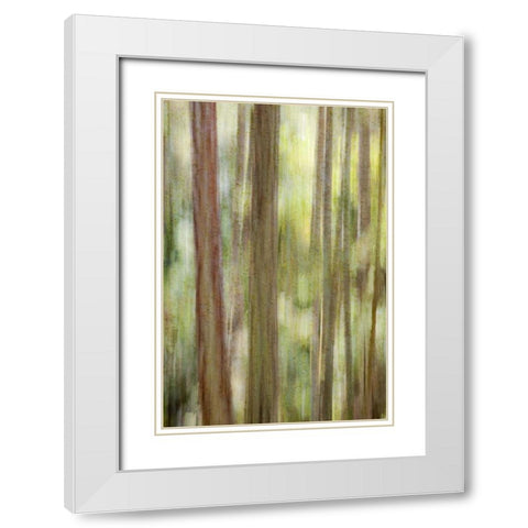 Washington, San Juans Abstract woodland scene White Modern Wood Framed Art Print with Double Matting by Paulson, Don