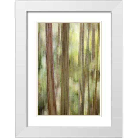 Washington, San Juans Abstract woodland scene White Modern Wood Framed Art Print with Double Matting by Paulson, Don