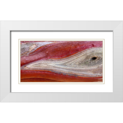California, Mount Diablo SP Manzanita wood White Modern Wood Framed Art Print with Double Matting by Paulson, Don