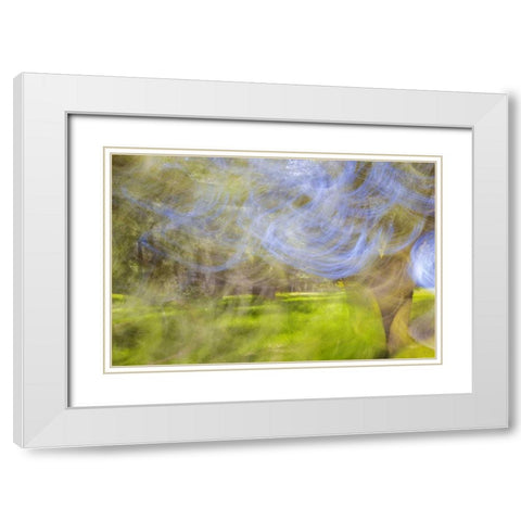 Mexico, Tecate Motion blurred outside abstract White Modern Wood Framed Art Print with Double Matting by Paulson, Don