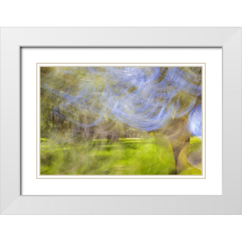 Mexico, Tecate Motion blurred outside abstract White Modern Wood Framed Art Print with Double Matting by Paulson, Don