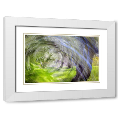 Mexico, Tecate Motion blurred outside abstract White Modern Wood Framed Art Print with Double Matting by Paulson, Don