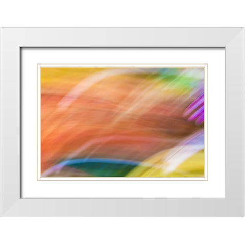Mexico, Baja California, Tecate Abstract wash White Modern Wood Framed Art Print with Double Matting by Paulson, Don