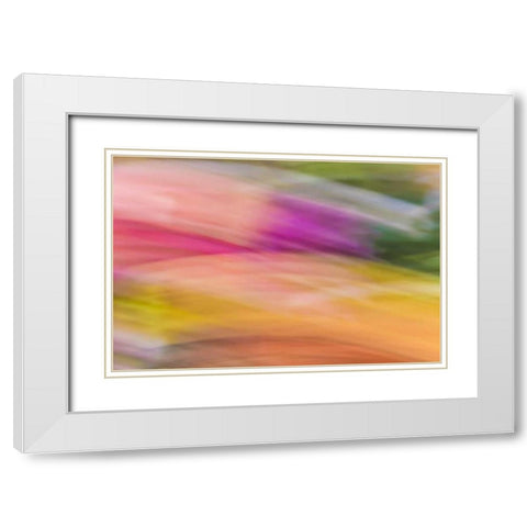 Mexico, Baja California, Tecate Abstract wash White Modern Wood Framed Art Print with Double Matting by Paulson, Don