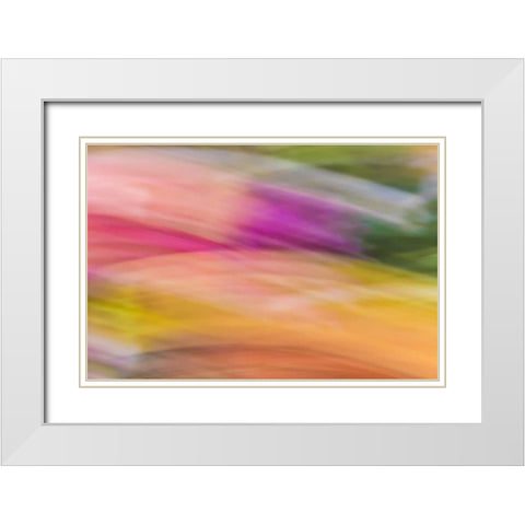 Mexico, Baja California, Tecate Abstract wash White Modern Wood Framed Art Print with Double Matting by Paulson, Don