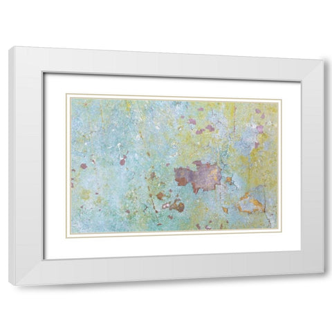 Washington, Fort Hayden Abstract painted wall White Modern Wood Framed Art Print with Double Matting by Paulson, Don