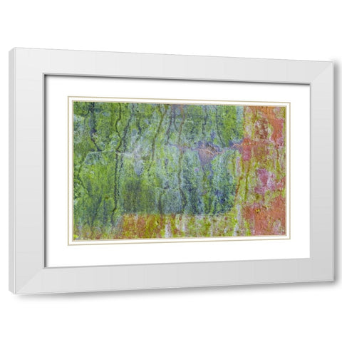 Washington, Fort Hayden Abstract painted wall White Modern Wood Framed Art Print with Double Matting by Paulson, Don